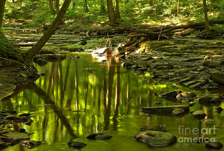 Reflections In Hells Hollow Creek Photograph by Adam Jewell