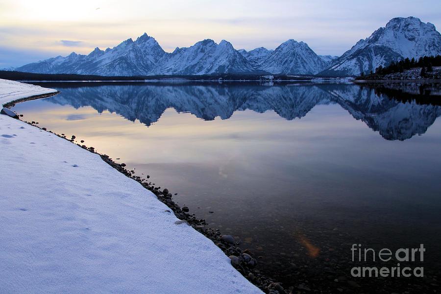 Reflections In Jackson Lake Photograph by Adam Jewell