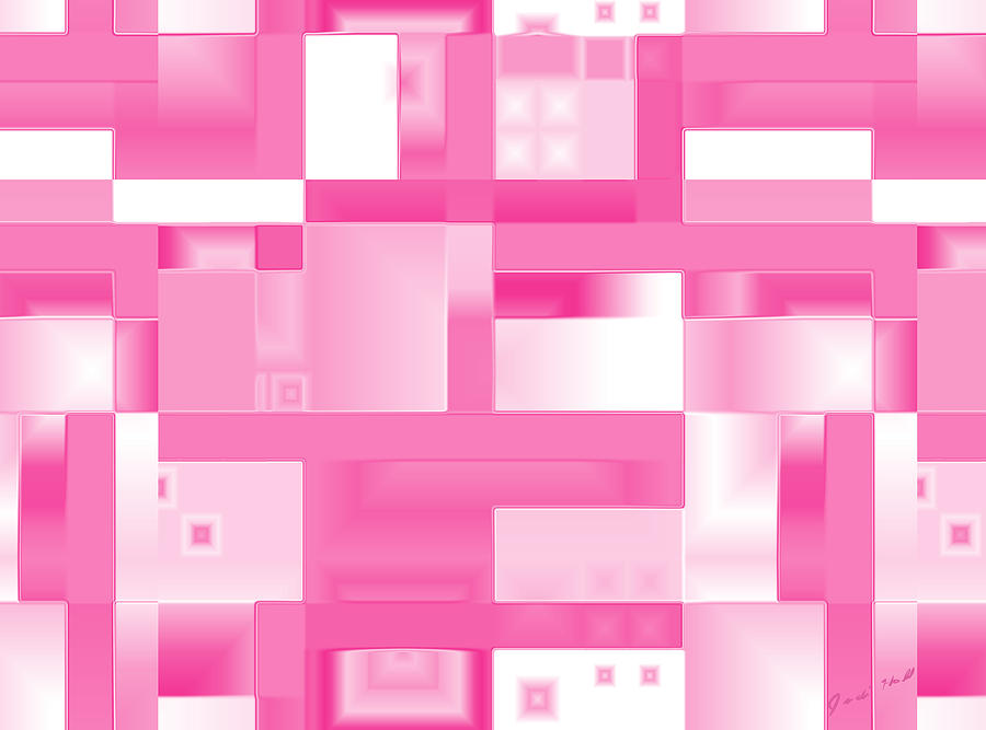 Reflections in Pink Digital Art by Judi Suni Hall