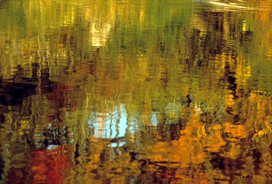 Reflections in Pond Photograph by Harold E McCray