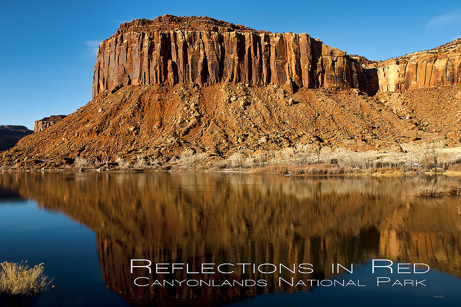Reflections in Red Photograph by Jim Lucas