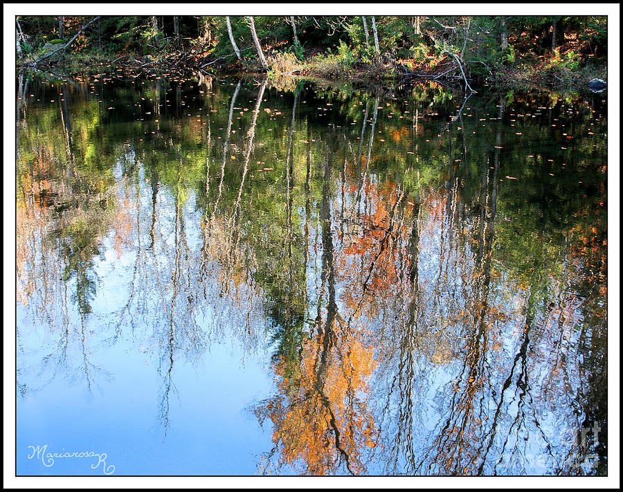 Reflections in Still Waters Photograph by Mariarosa Rockefeller