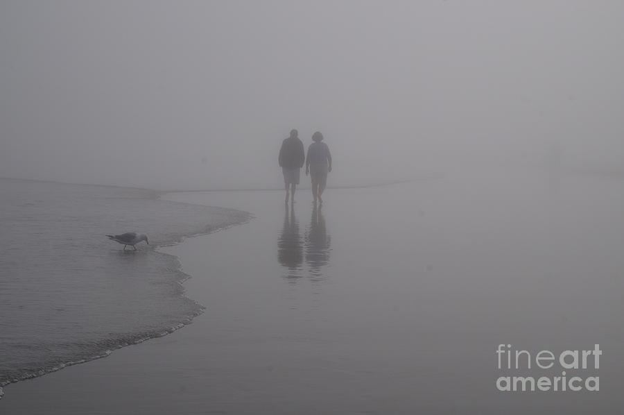 Beach Photograph - Reflections in the Fog by Zori Minkova