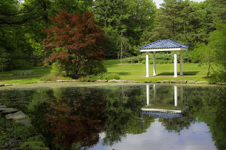 Reflections in the Oriental Garden Photograph by David Freuthal