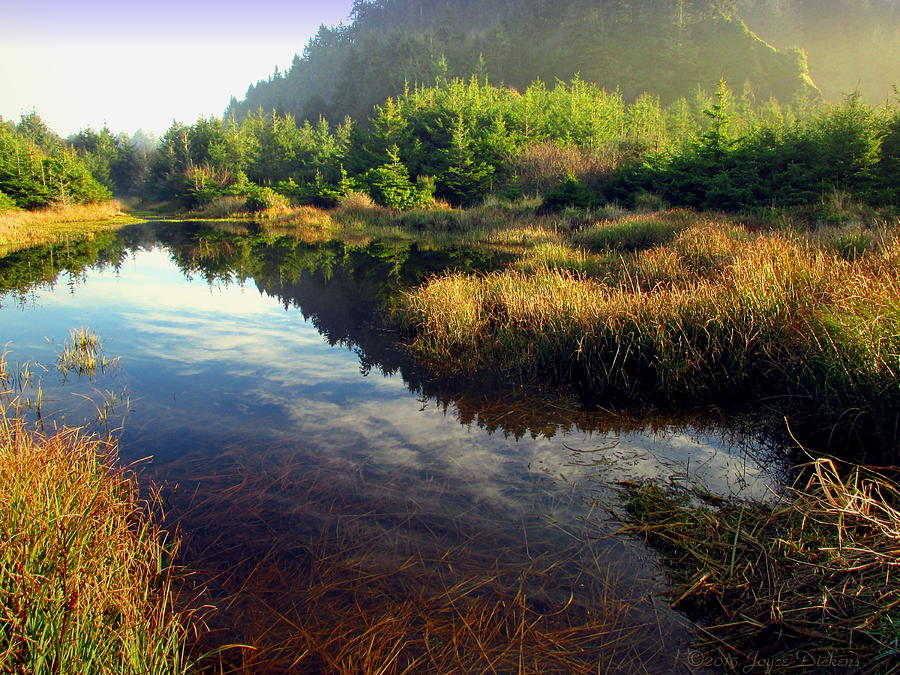 Mountain Photograph - Reflections In The Pond by Joyce Dickens