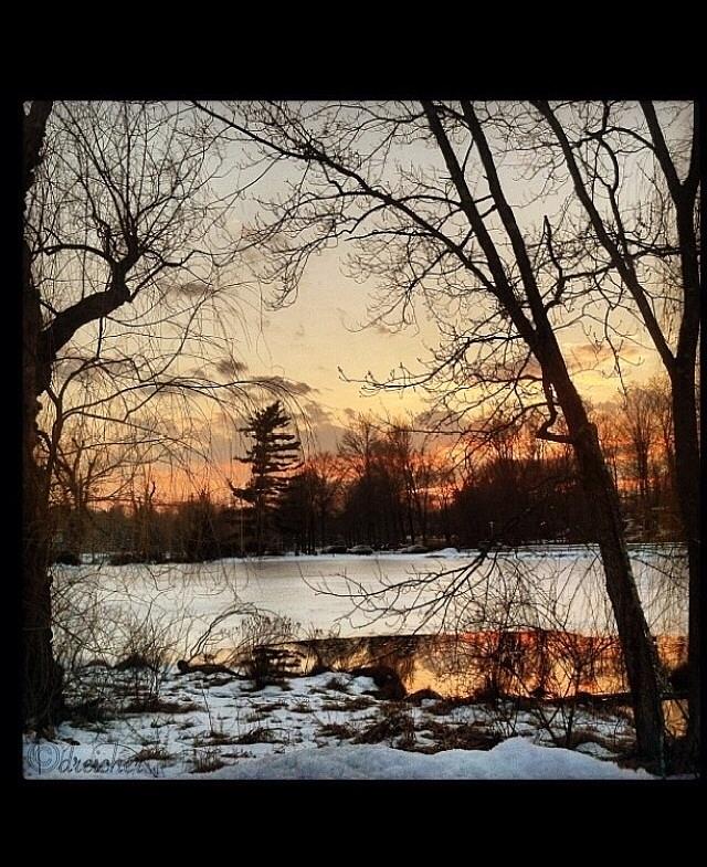 Sunset Photograph - Reflections in the Snow by Denise Reicher