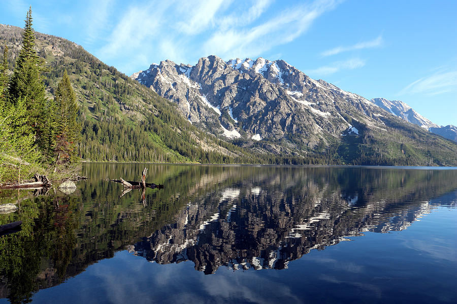 Reflections in the South end of Jenny Lake Photograph by George Jones