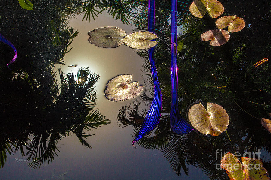 Everglades National Park Photograph - Reflections in the Wishing Well by Rene Triay FineArt Photos