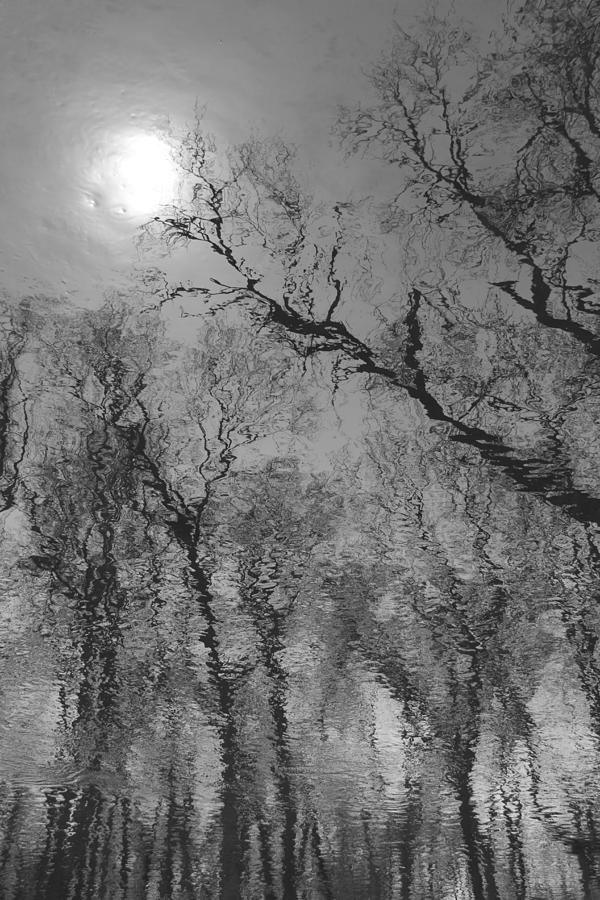 Reflections in Water Photograph by Kathleen Scanlan