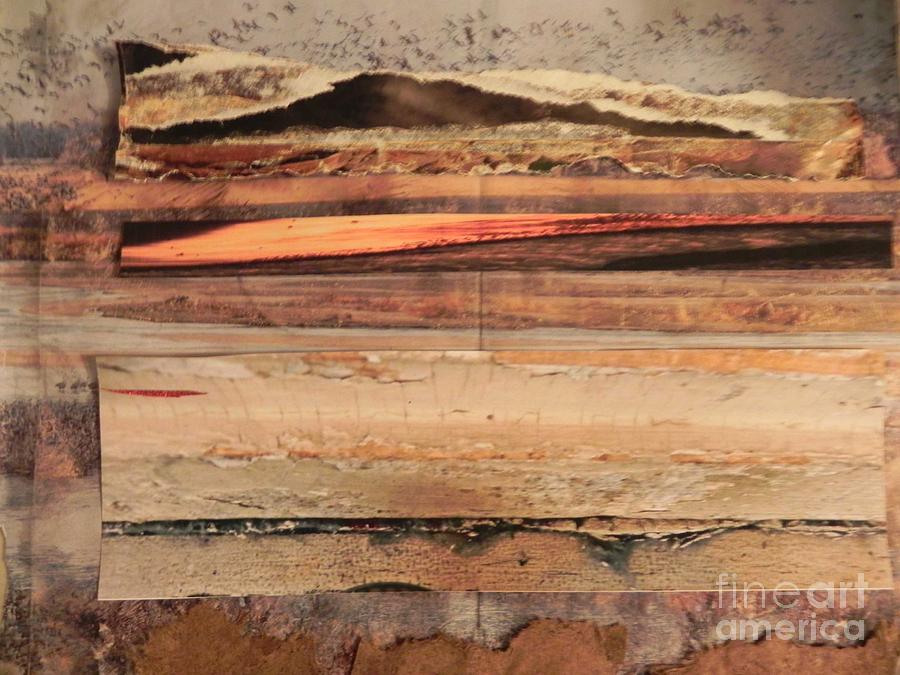 Reflections in Wood Mixed Media by Patricia Tierney