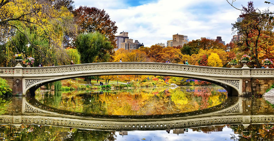 Reflections Photograph By Jeff Genova - Fine Art America