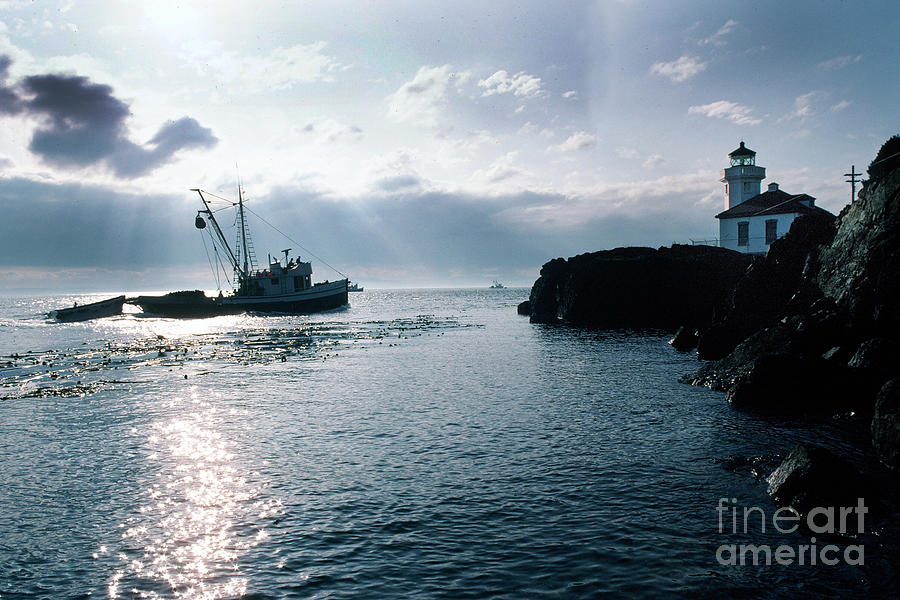 Lighthouse Photograph - Reflections Lime Kiln Point Lighthouse San Juan Island 1983 by Monterey County Historical Society