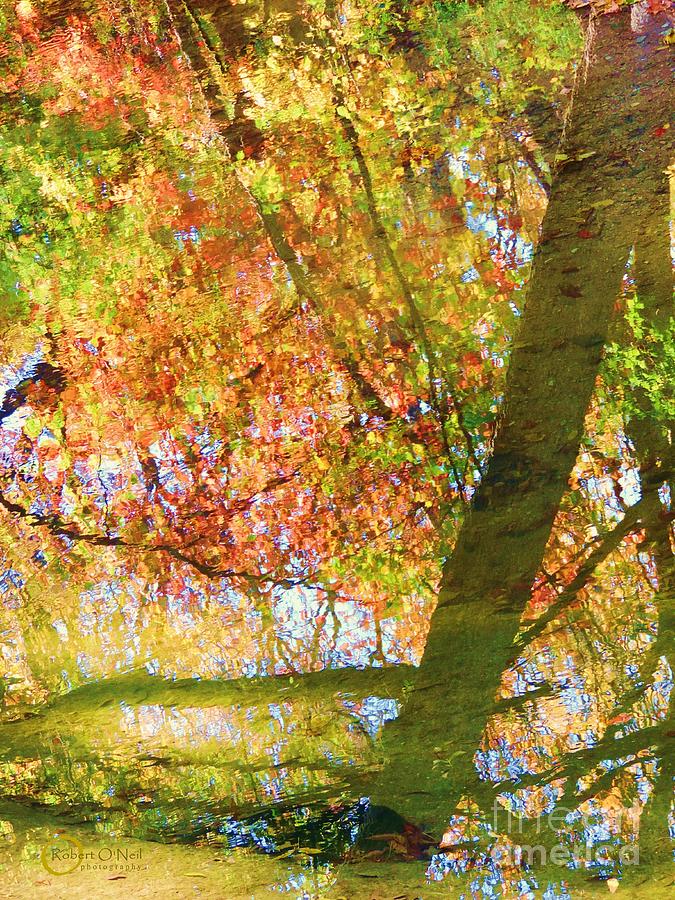 Reflections of a Colorful Fall 001 Photograph by Robert ONeil