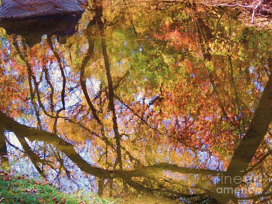 Reflections of a Colorful Fall 002 Photograph by Robert ONeil