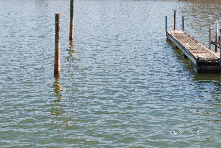 Reflections of a Floating Dock Photograph by Paulette B Wright