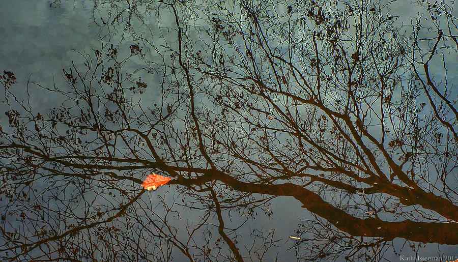 Reflections of a Leaf Photograph by Kathi Isserman