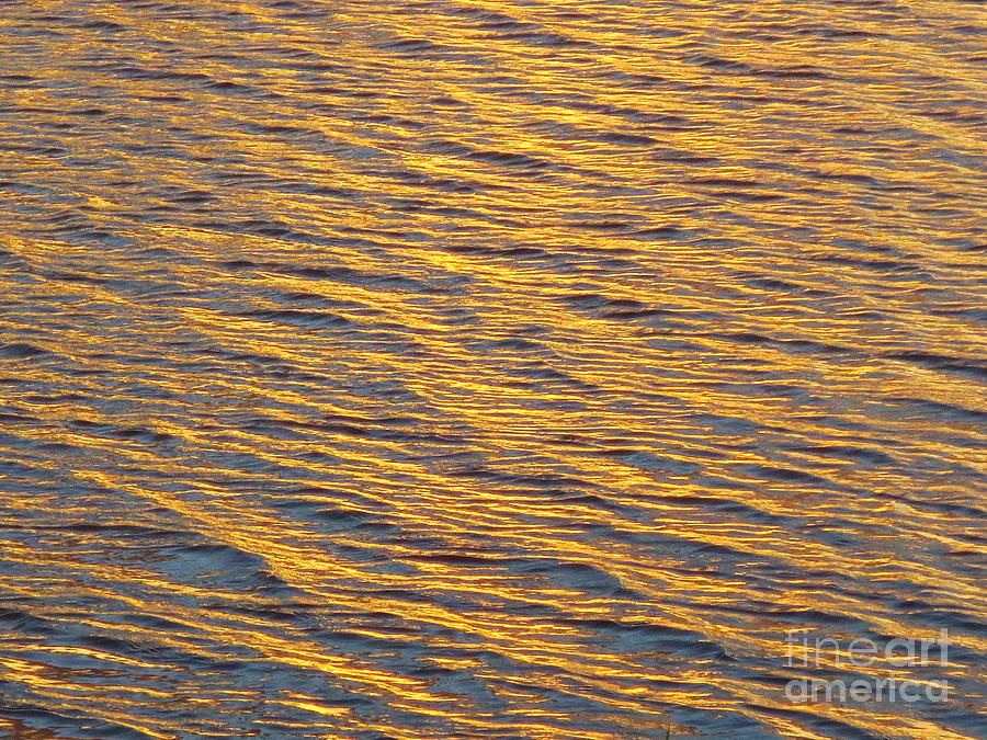 Reflections of a Loxahatchee Sunset. Photograph by Robert Birkenes