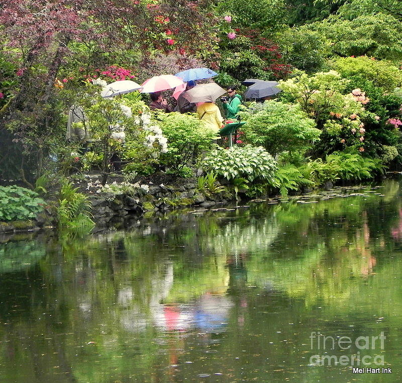 Reflections of a Rainy Day Photograph by Mel Hart - Fine Art America