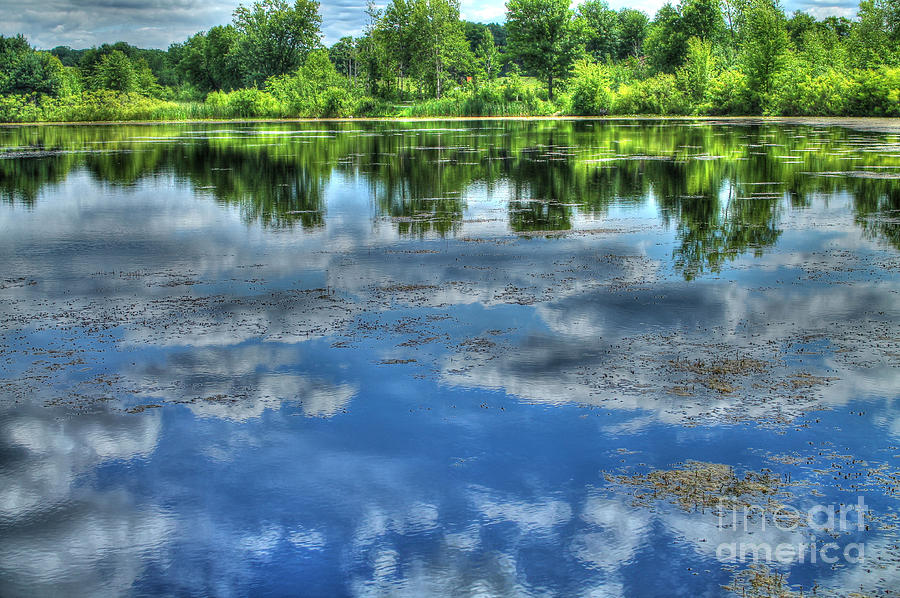 Tree Photograph - Reflections of a Summer Sky by Jimmy Ostgard