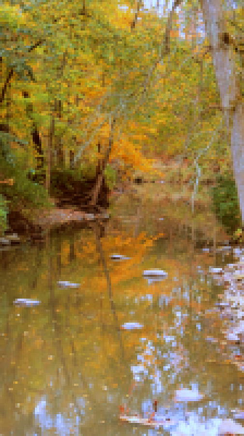 Reflections Of An Autumn Day Photograph by Kay Novy