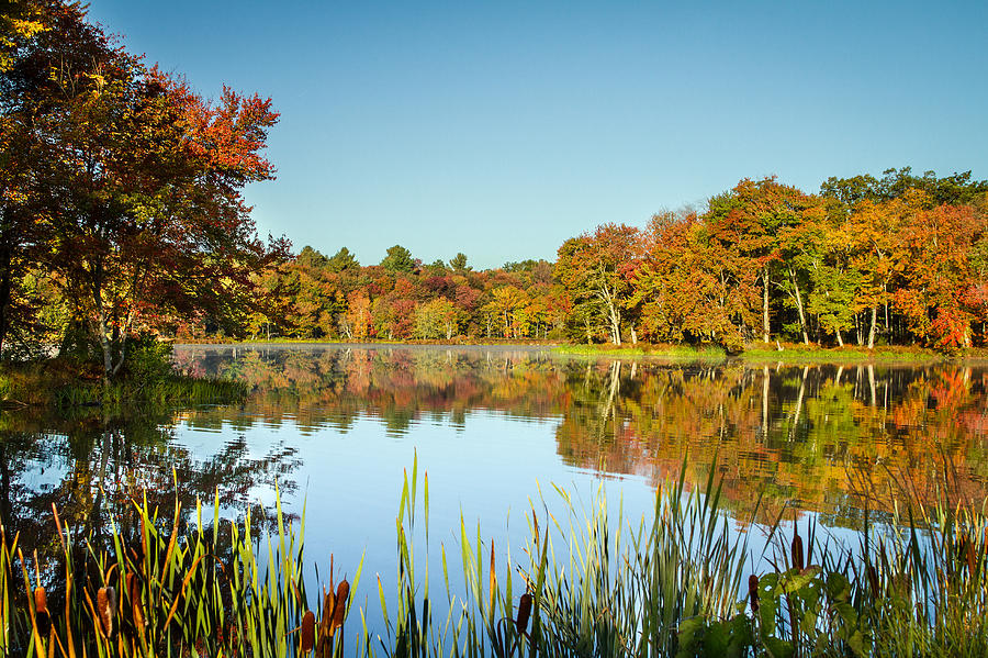 Reflections of Autumn Photograph by Brian Caldwell - Fine Art America