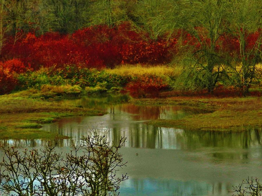 Reflections of Autumn Photograph by Charles Lucas