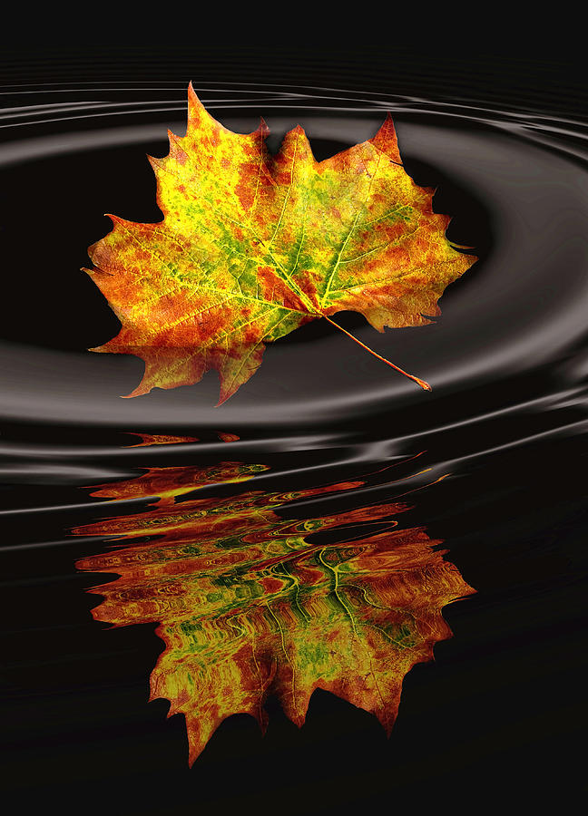 Reflections Of Autumn Photograph by Irma Mason