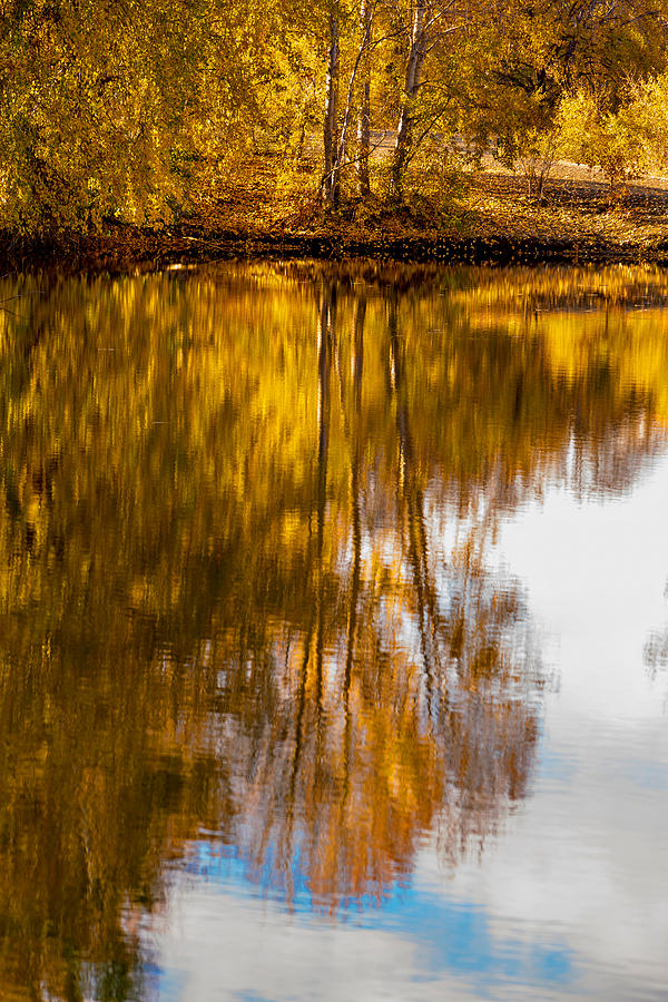 Reflections of Autumn Photograph by Mary Jo Allen