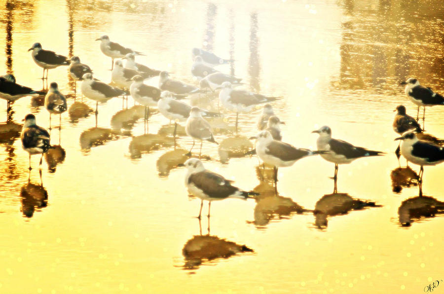 Reflections of Birds Photograph by Ally  White