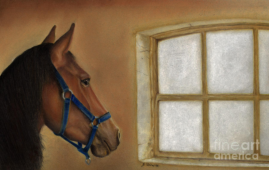 Reflections of Days Gone By Drawing by Sheryl Unwin