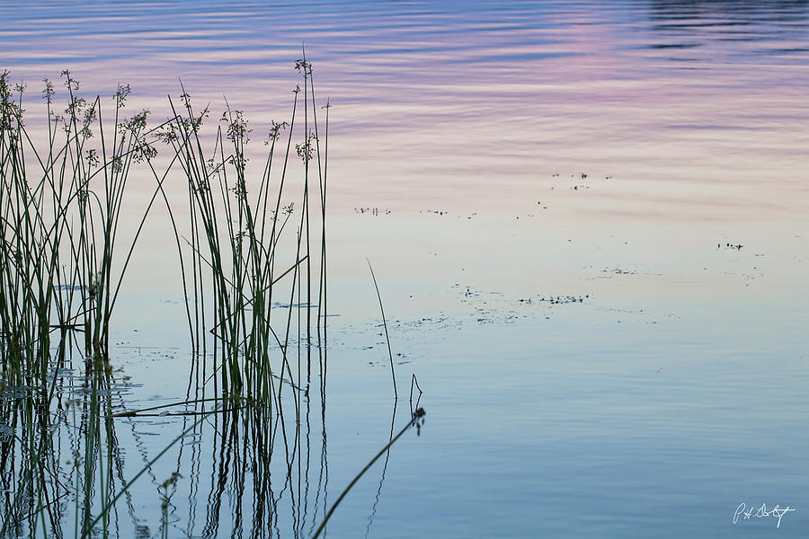 Nature Photograph - Reflections of Dusk by Phill Doherty