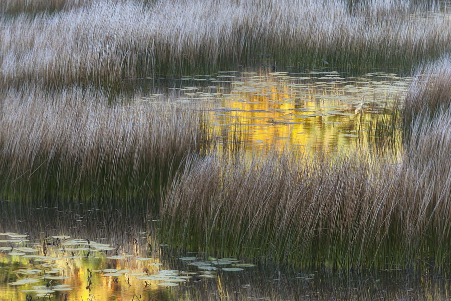 Reflections of Early Light - number eight Photograph by Paul Schreiber