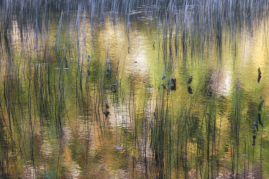 Abstract Photograph - Reflections of Early Light - number ten by Paul Schreiber