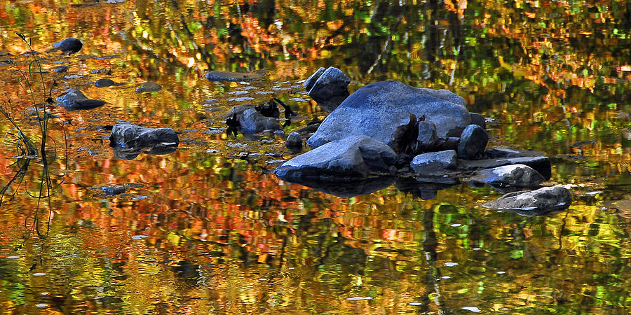 Reflections Of Fall 2 Photograph by Dan Myers