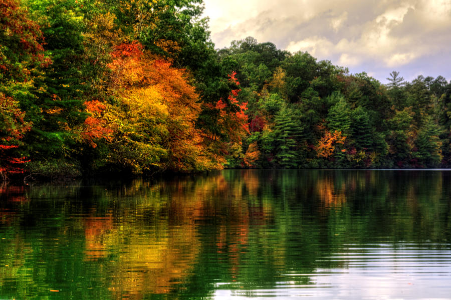Reflections Of Fall at Lake Santeelah Photograph by Greg and Chrystal Mimbs