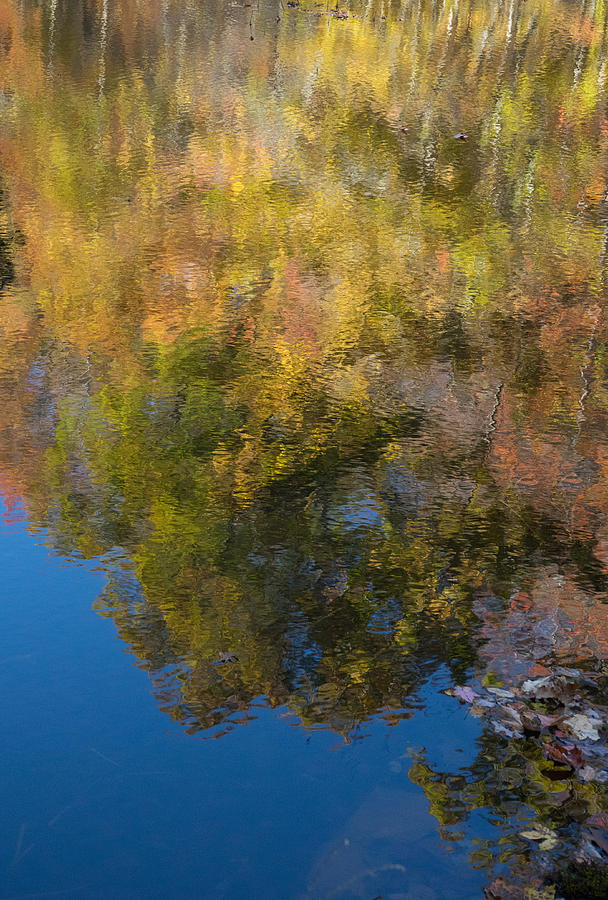 Reflections of Fall Colors Photograph by Douglas Barnett