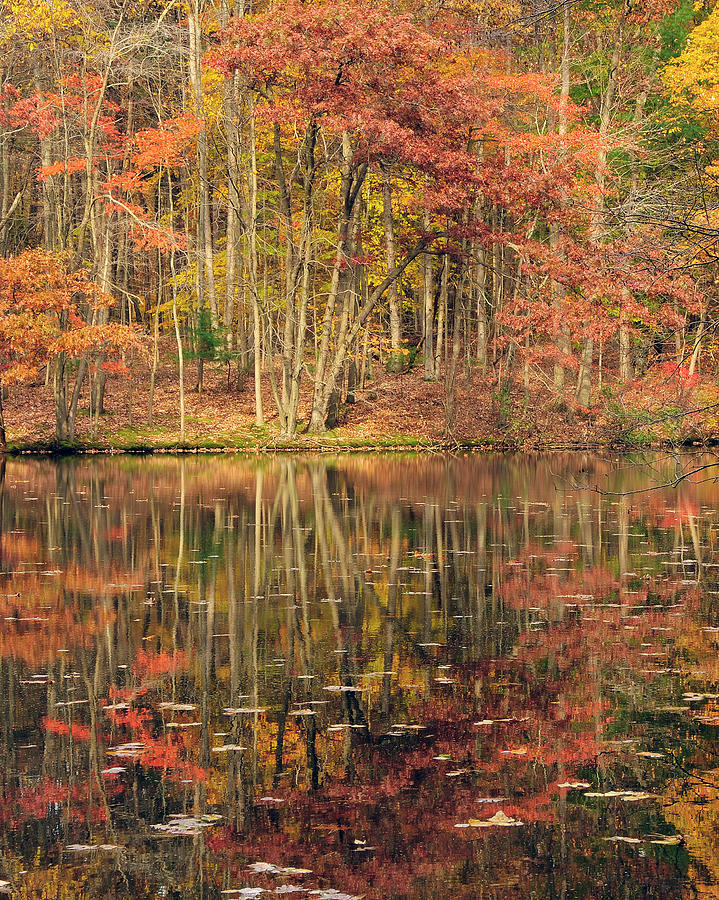Reflections Of Fall Photograph by Dan Myers
