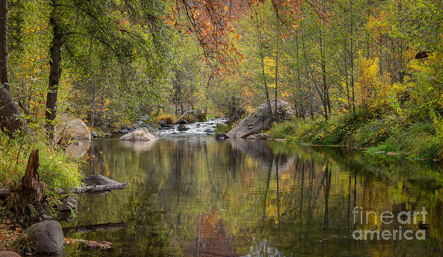 Reflections of Fall Photograph by Marianne Jensen