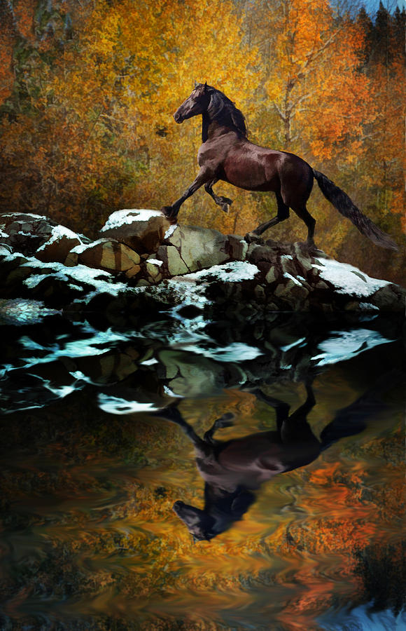 Reflections of Fall Photograph by Melinda Hughes-Berland
