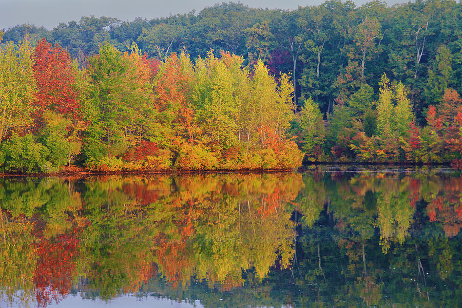 Reflections of Fall Photograph by Roger Becker