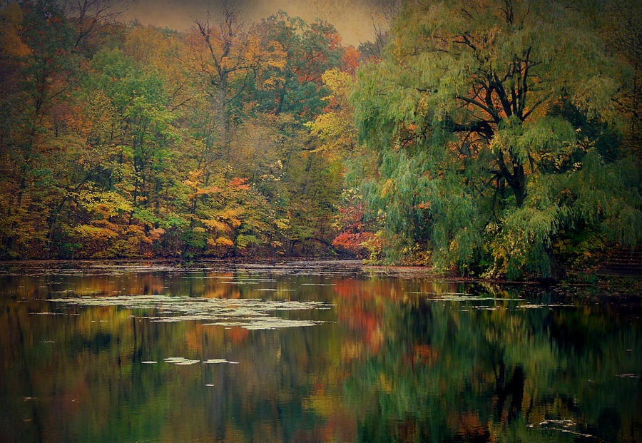 Reflections of Fall Photograph by Terry Eve Tanner