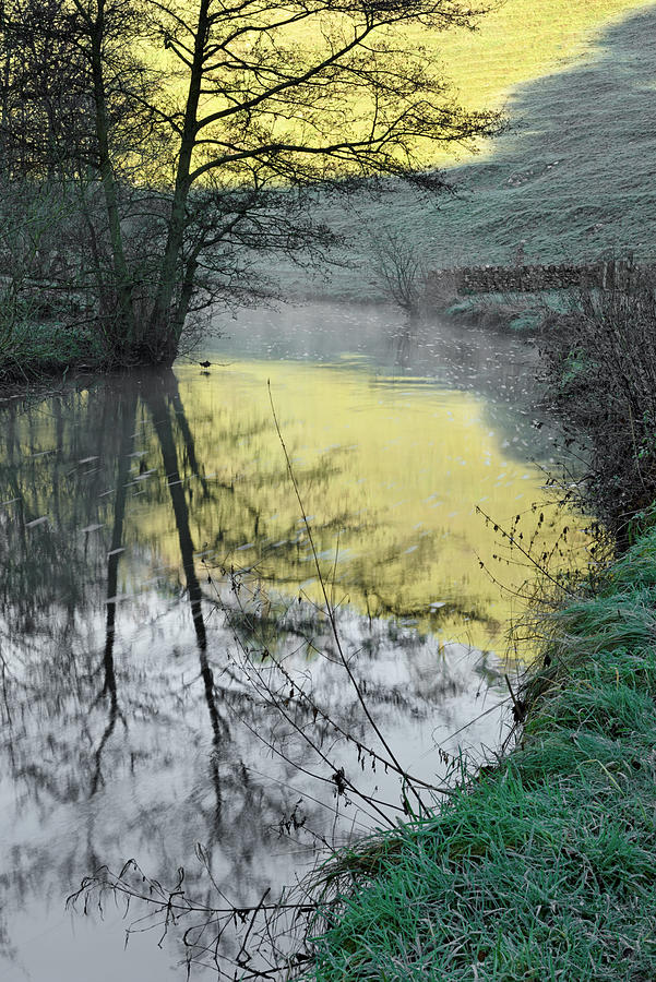 Reflections of Fishpond Bank Photograph by Rod Johnson