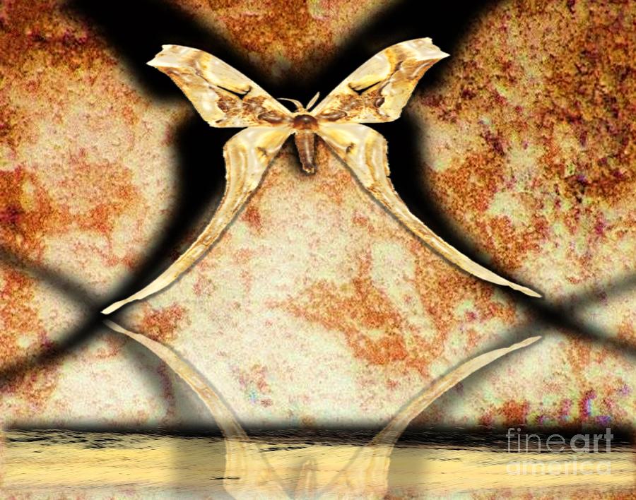 Butterfly Digital Art - Reflections of Life by Belinda Threeths