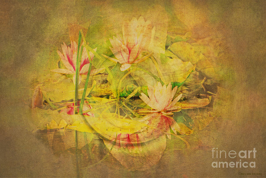 Reflections of Monets Lilies Photograph by Mary Jane Armstrong
