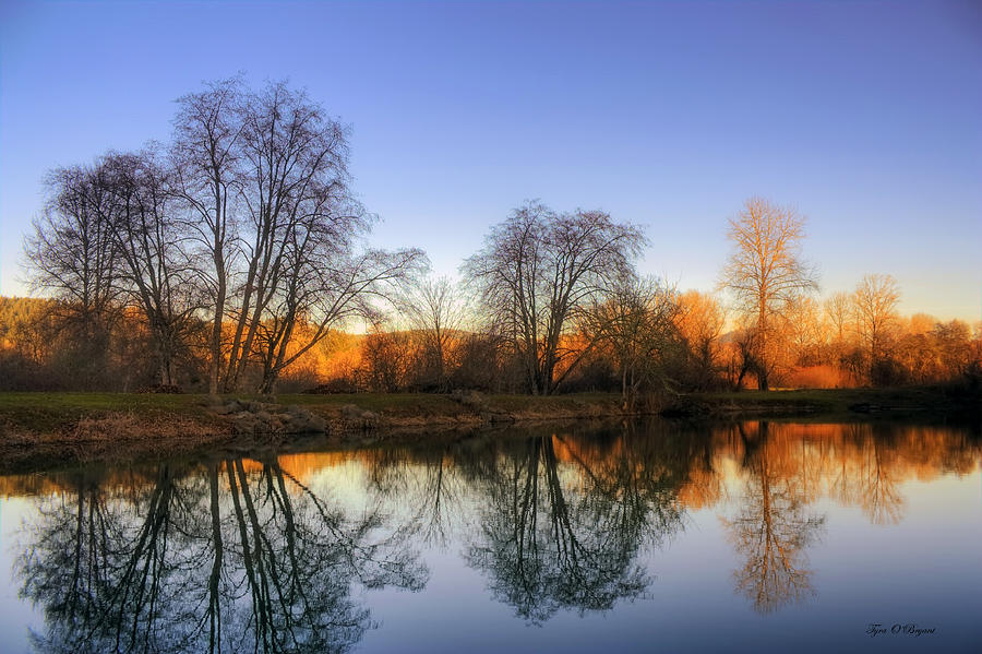 Reflections Of Solitude Photograph By Tyra Obryant - Fine Art America