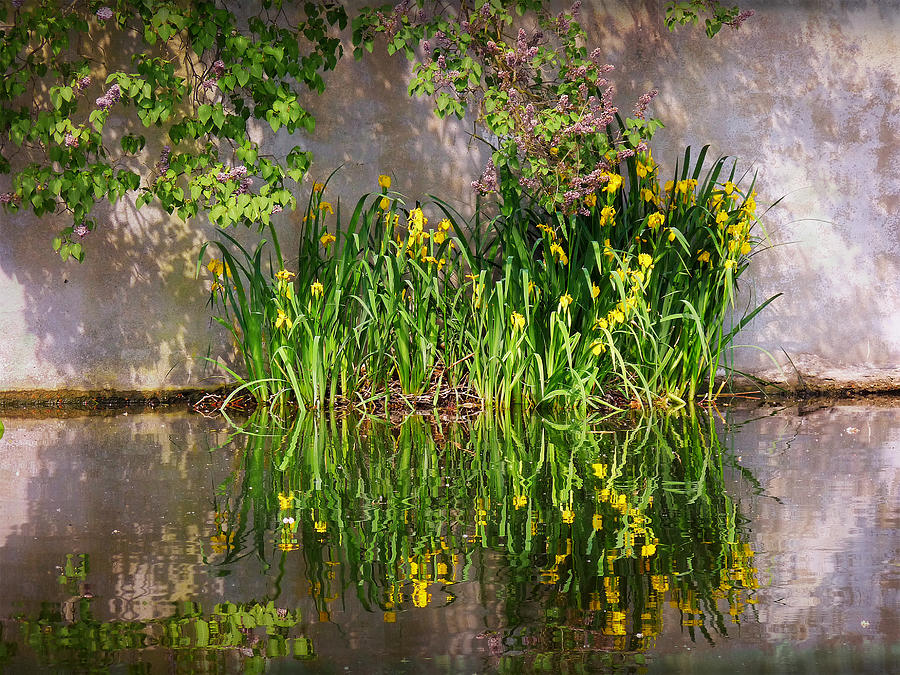 Reflections of Spring Photograph by Lucinda Walter