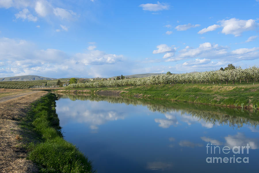 Spring Photograph - Reflections of Spring by Michael Dawson