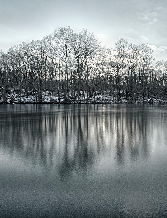 Reflections Of Trees And Snow In A Photograph by Elisabeth Pollaert Smith