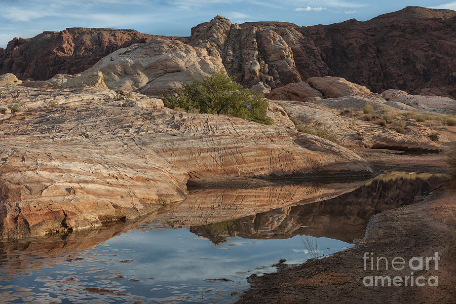 Reflections of Valley of Fire Photograph by Sandra Bronstein