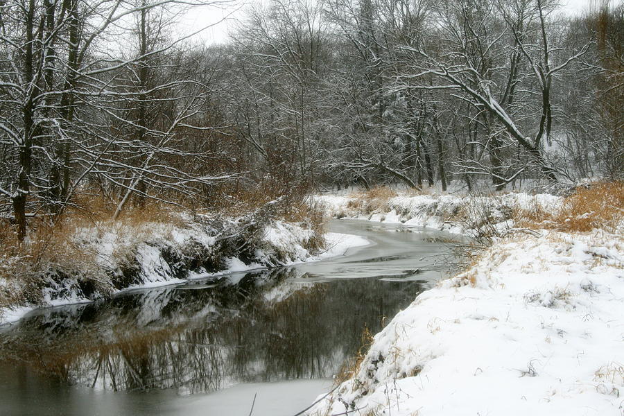 Winter Photograph - Reflections Of Winter by Kay Novy